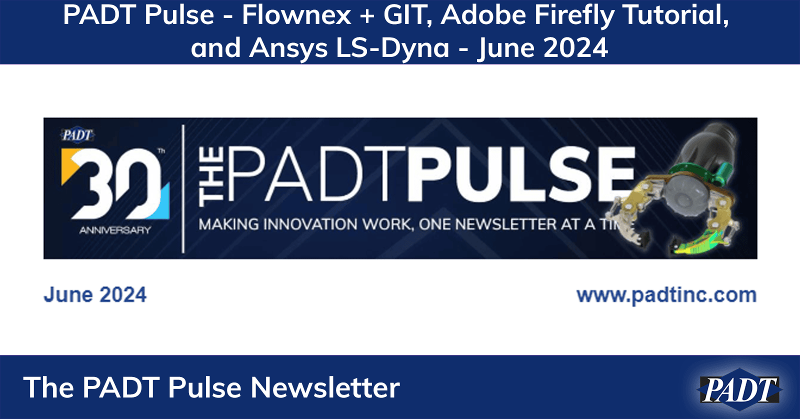 Newsletter-PADT_Pulse-2024-June-f00